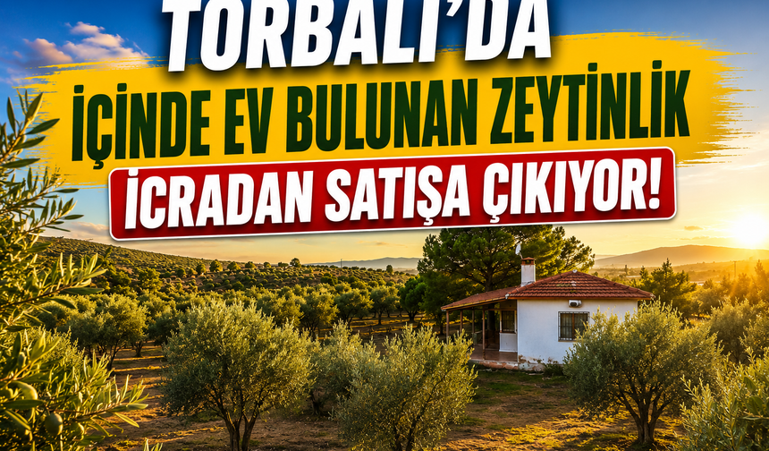 Torbalı’da İçinde Ev Bulunan Zeytinlik İcradan Satışa Çıkıyor