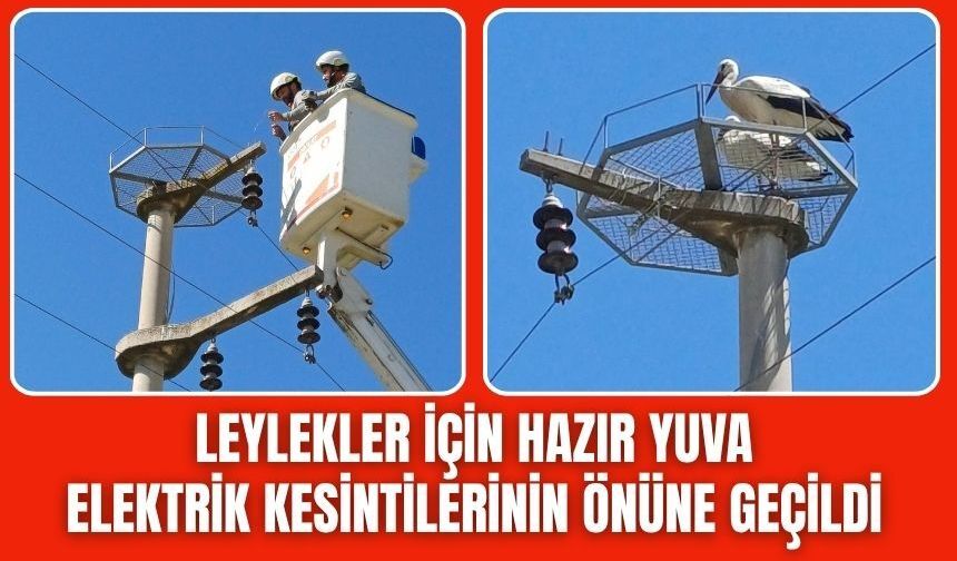 Leyleklere Özel Önlem: Direklere Hazır Yuva Kuruldu