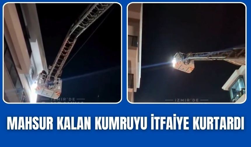 Torbalı’da Mahsur Kalan Kumruyu İtfaiye Kurtardı