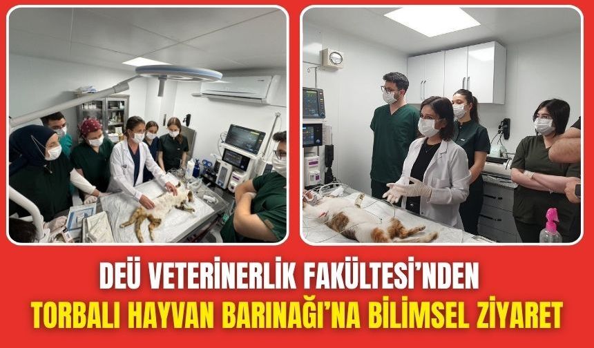 Veteriner Fakültesi Öğrencilerinden Torbalı Bakımevi’ne Uygulamalı Eğitim Ziyareti
