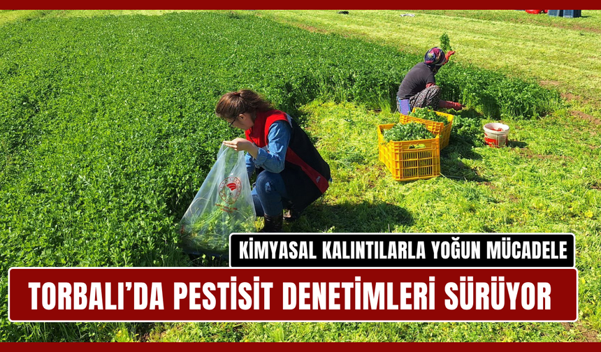 Kimyasal kalıntılarla yoğun mücadele