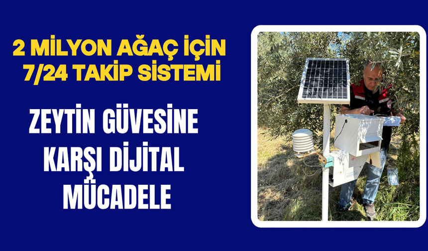 Torbalı’da Zeytinlikler Teknolojiyle Korunuyor