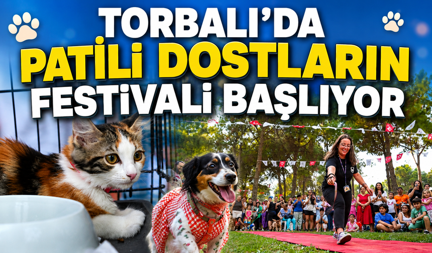 Can Dostlar İçin Festival Zamanı!