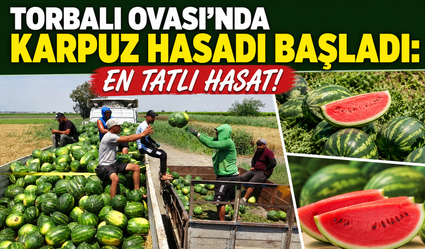 Torbalı’nın Meşhur Karpuzu Tezgâhlarda: Özbey’de Hasat Başladı