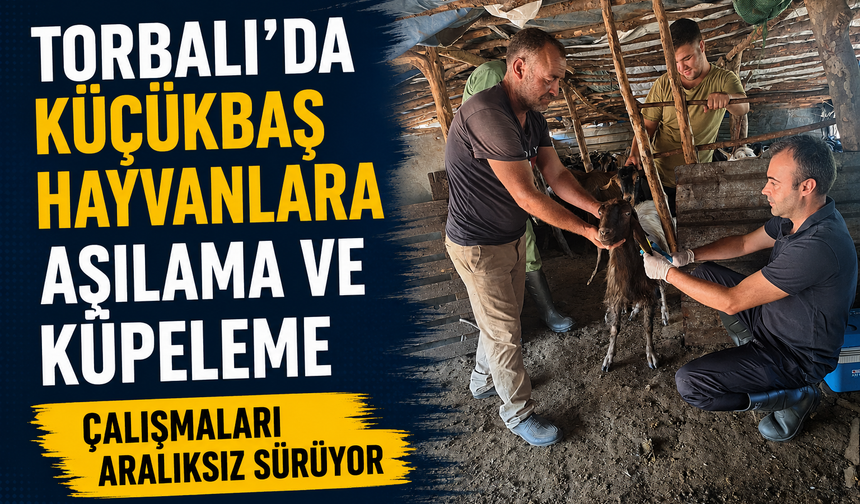 Torbalı’da Sürü Sağlığı İçin Yoğun Mesai