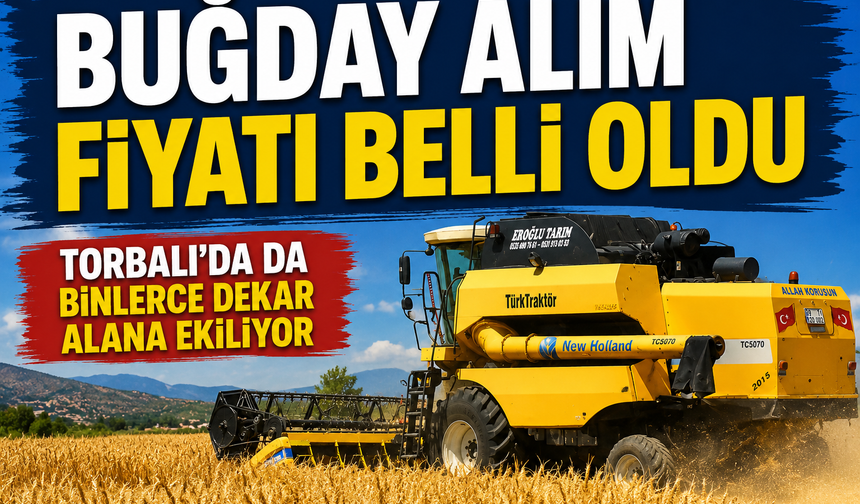 Torbalı'da Hasat Hareketliliği Başlıyor