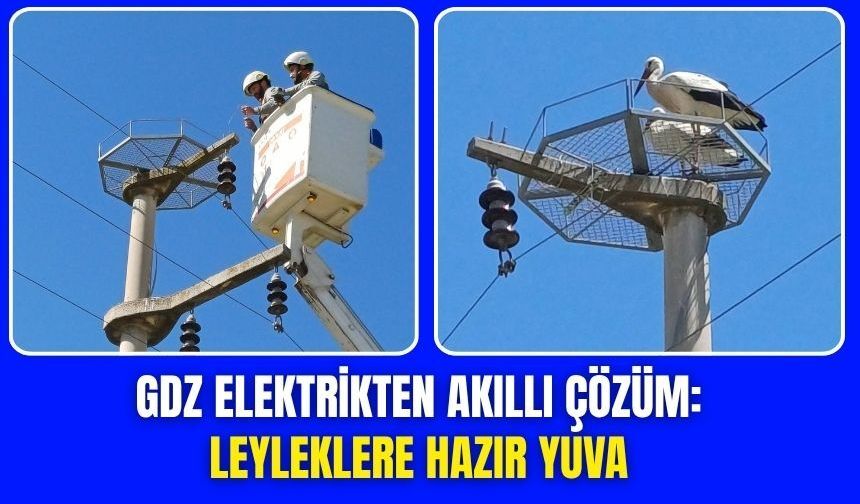 Leyleklere Güvenli Yuva Torbalı'ya Kesintisiz Elektrik