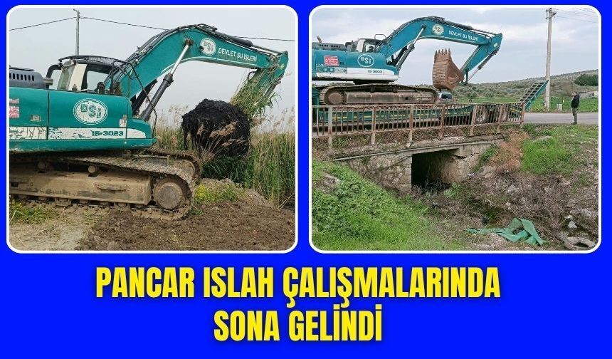 Pancar'da taşkın riskini azaltacak çalışmada sona gelindi