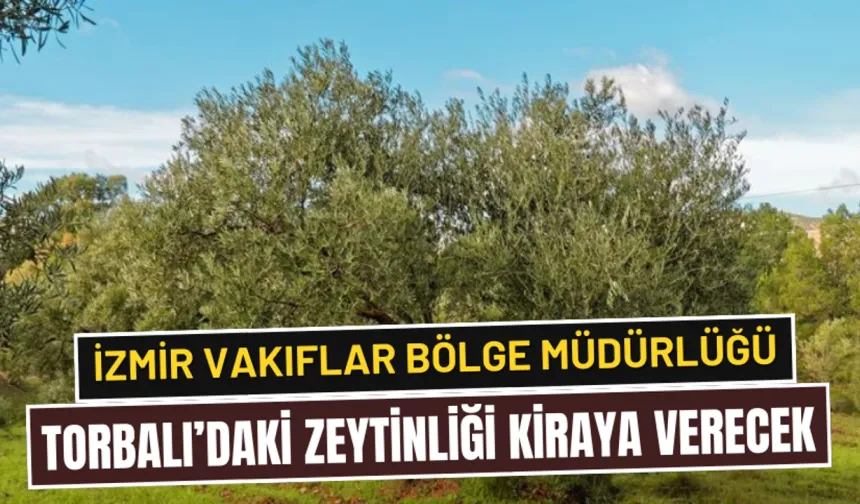 Torbalı'da Vakıf Arazileri Kiraya Verilecek