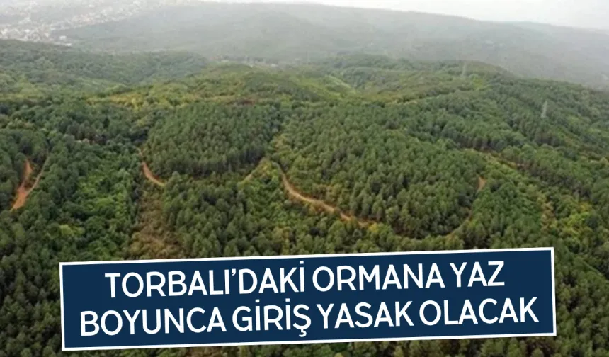 Valilik duyurdu... Girişler yasaklandı!