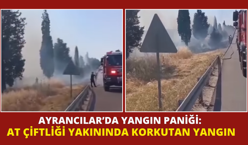 At Çiftliği Yakınında Korkutan Yangın