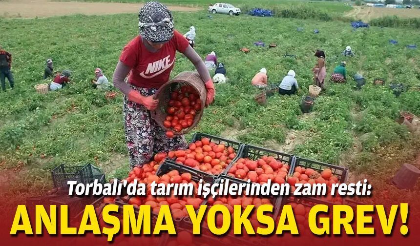 Tarım işçileri yevmiyesinde yeni karar: Grev uyarısı geldi