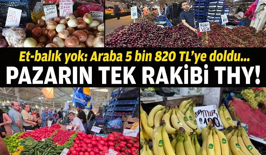 Pazarın tek rakibi THY!