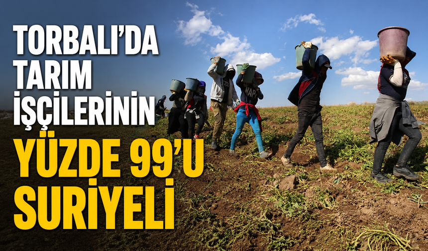 Torbalı'da Çiftçi Türk İşçiye Hasret Kaldı