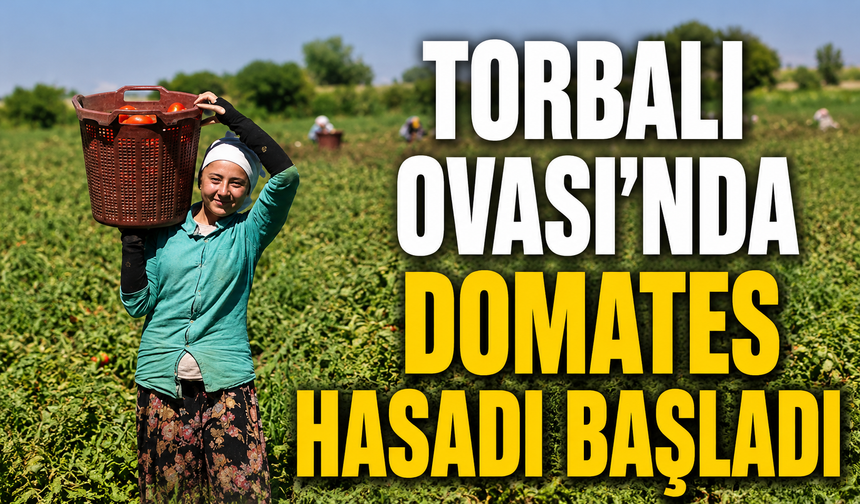 Kırmızı altında hasat vakti