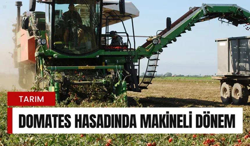 Domates hasadında makine dönemi