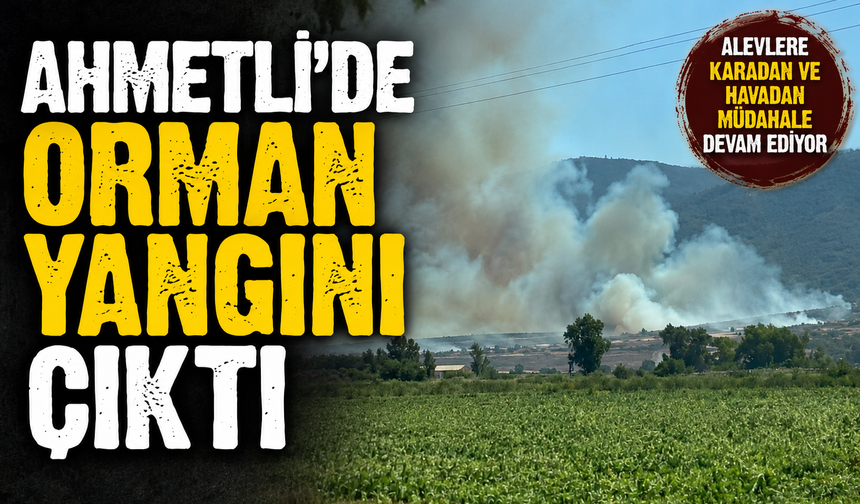 Ahmetli'de orman yangını paniği