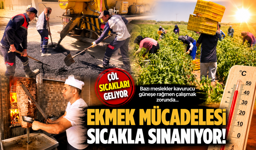 Çöl sıcaklarında ekmek mücadelesi