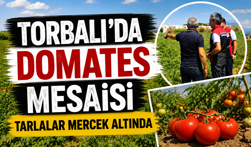 Torbalı'da Tarlalar Mercek Altında