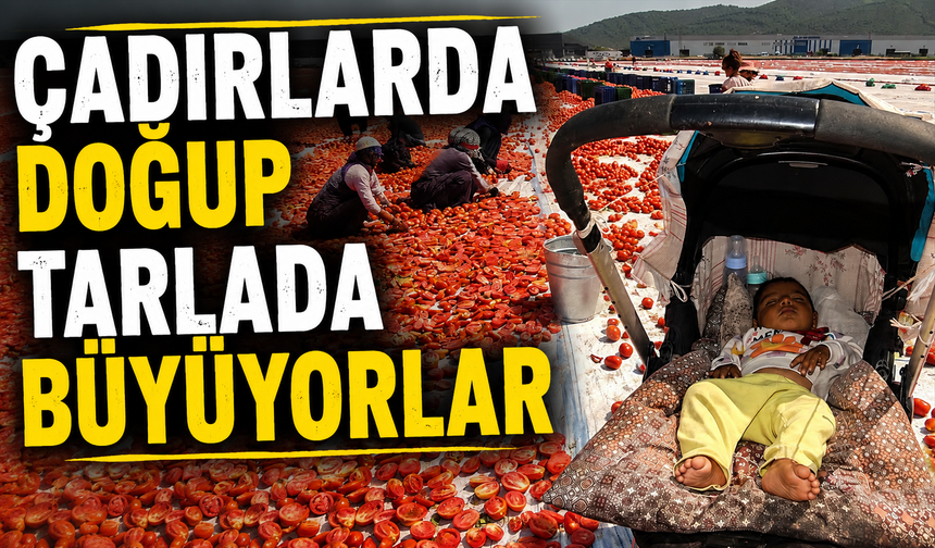 Mevsimlik işe ömürlük çile