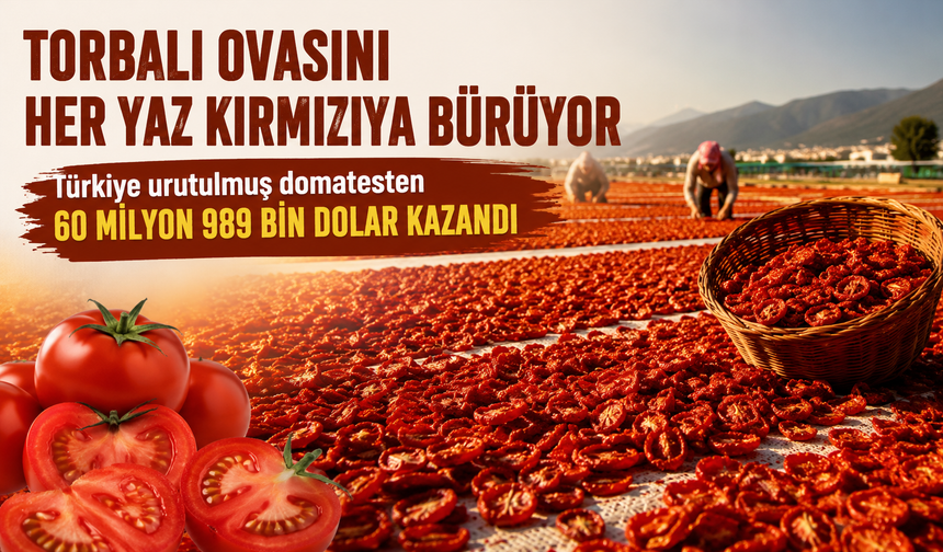 Torbalı Ovasını Her Yaz Kırmızıya Bürüyor