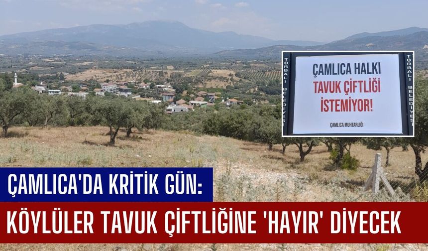 Çamlıca'da Kritik Gün:  Köylüler Tavuk Çiftliğine 'Hayır' Diyecek