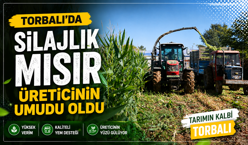 Ovada bu sezon üreticinin umudu oldu