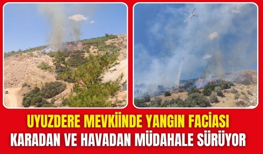 Torbalı'da orman yangını: Ekipler seferber oldu