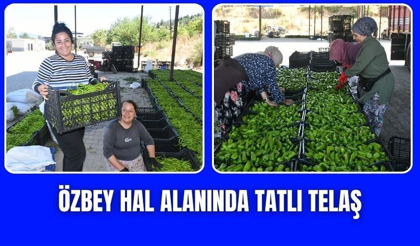 Özbey Hal Alanı üreticinin yeni gözdesi oldu