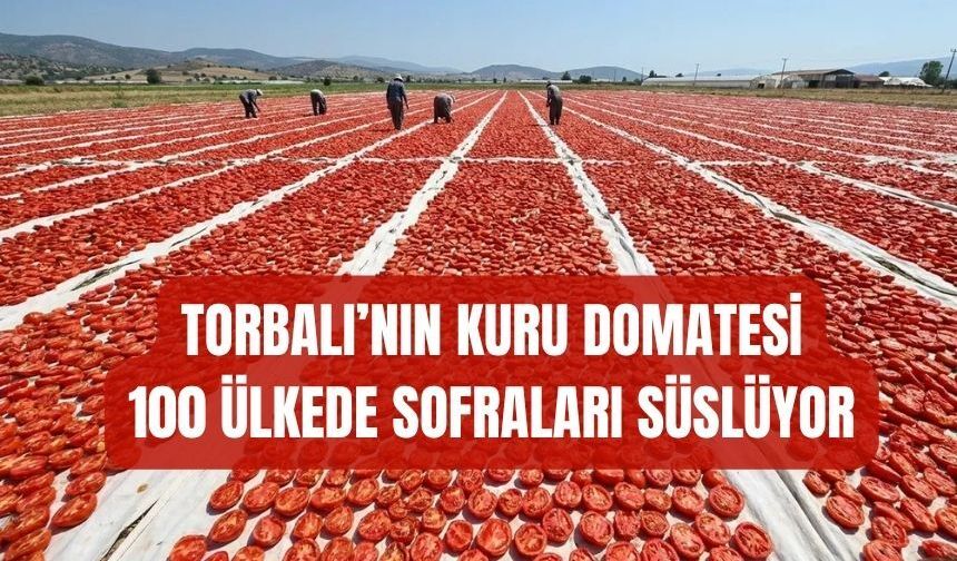 100 Ülkeye Kuru Domates İhracatı
