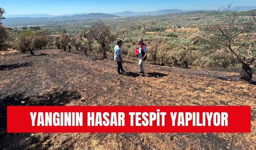 Yangının yaraları sarılıyor: Hasar tespit çalışmaları tamamlandı