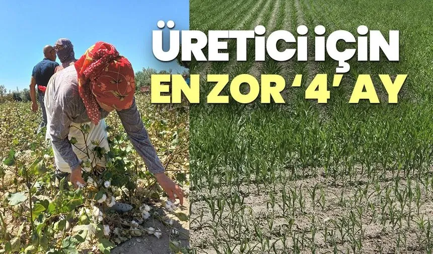 Üreticinin En Zor Dört Ayı: "Toprağa Sürekli Para Harcıyoruz"