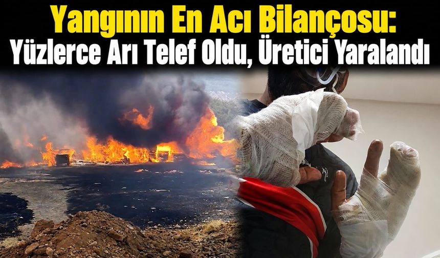 Yangında Arı Kovanları Kül Oldu: 500 Bin Liralık Zarar, Kendisi de Yaralandı