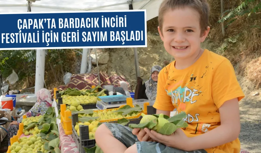 Bardacık inciri için festival zamanı