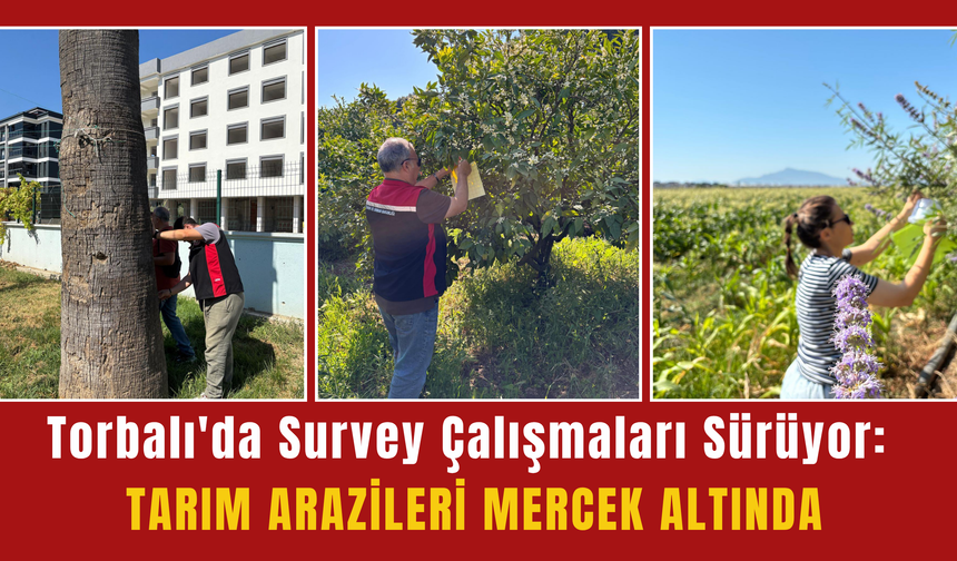 Torbalı'da Tarımsal Üretim İçin Sahada Yoğun Mesai