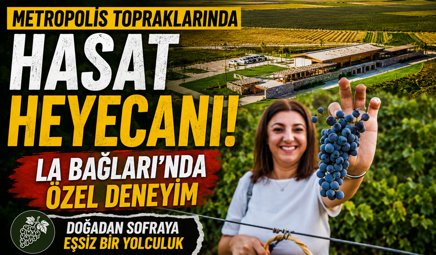METROPOLİS TOPRAKLARINDA HASAT YOLCULUĞU