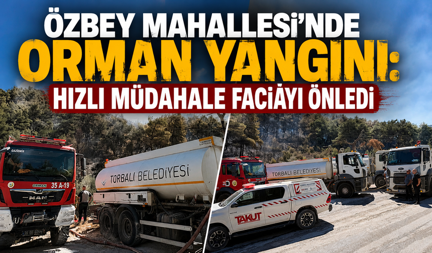 Özbey Mahallesi’nde Orman Yangını: Hızlı Müdahale Faciayı Önledi
