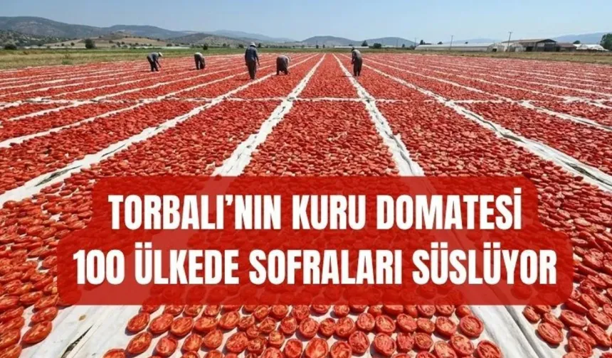 Kurutmalık domates mesaisi sürüyor
