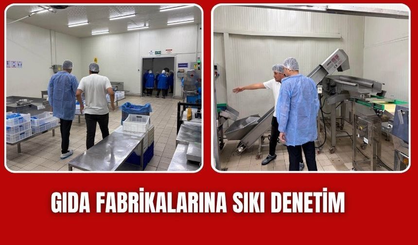 Torbalı’da gıda fabrikalarına denetim