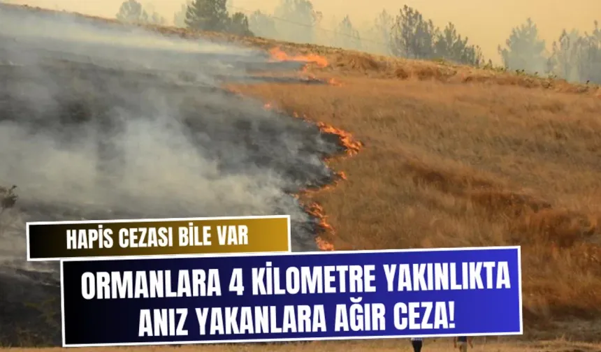 Hapis cezası bile var
