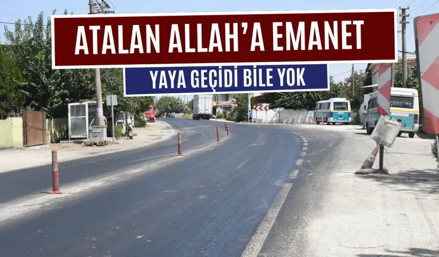 AT​​ALAN’DA TEHLİKELİ YOL! “YAYA GEÇİDİ BİLE YOK”
