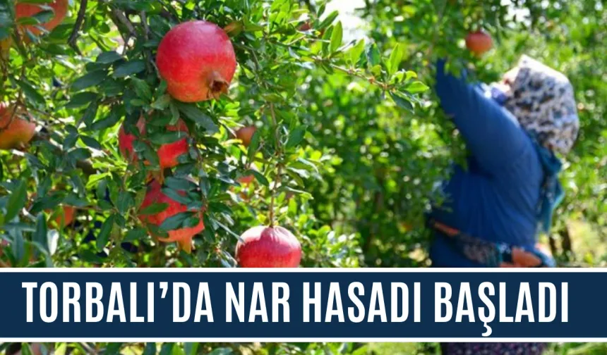 TORBALI’DA NAR HASADI BAŞLADI