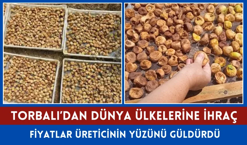 Torbalı’dan dünya ülkelerine kuru incir
