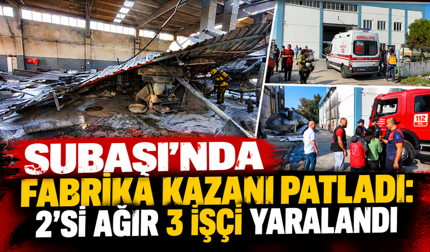 Subaşı'da facia: İşçiler yaralandı