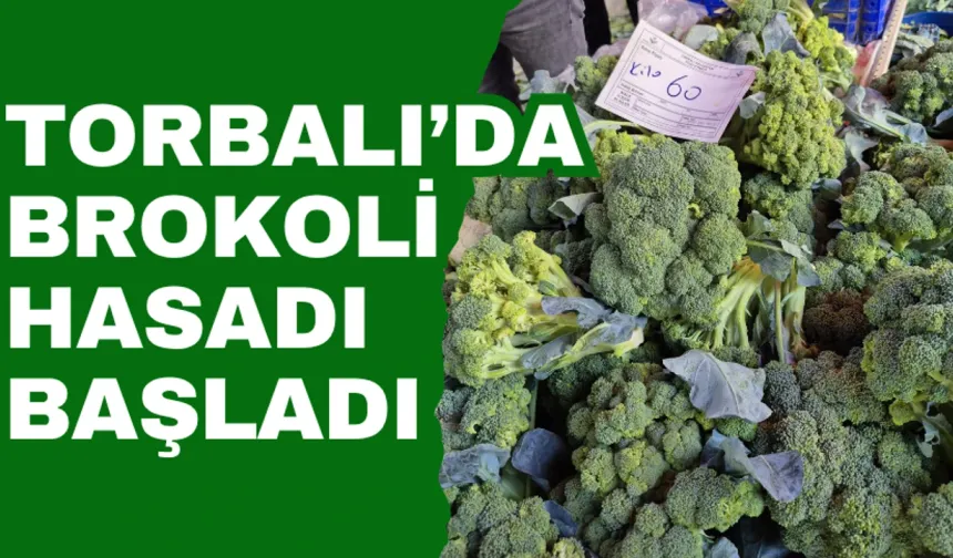 Üretici hasattan ve fiyattan memnun