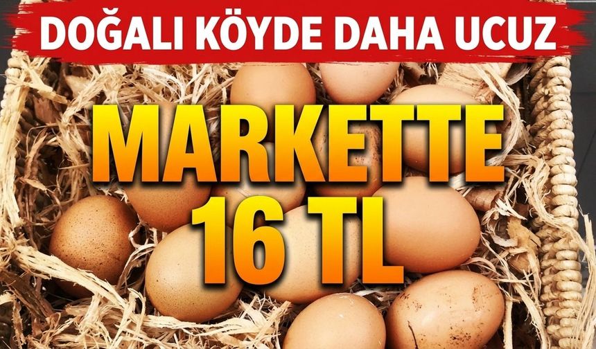 Doğalı köyde daha ucuz